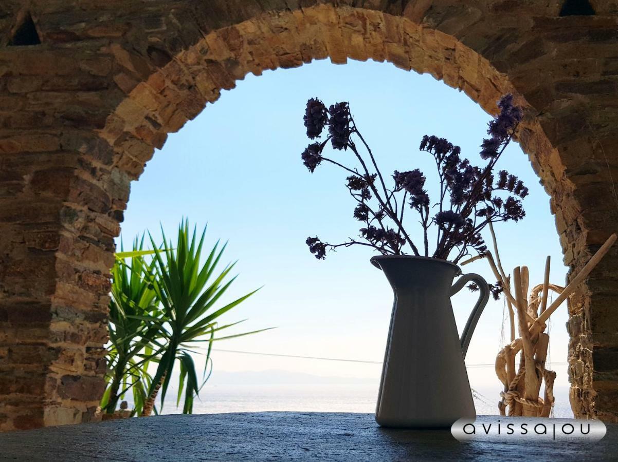 Avissalou Apartments Agios Romanos Eksteriør bilde